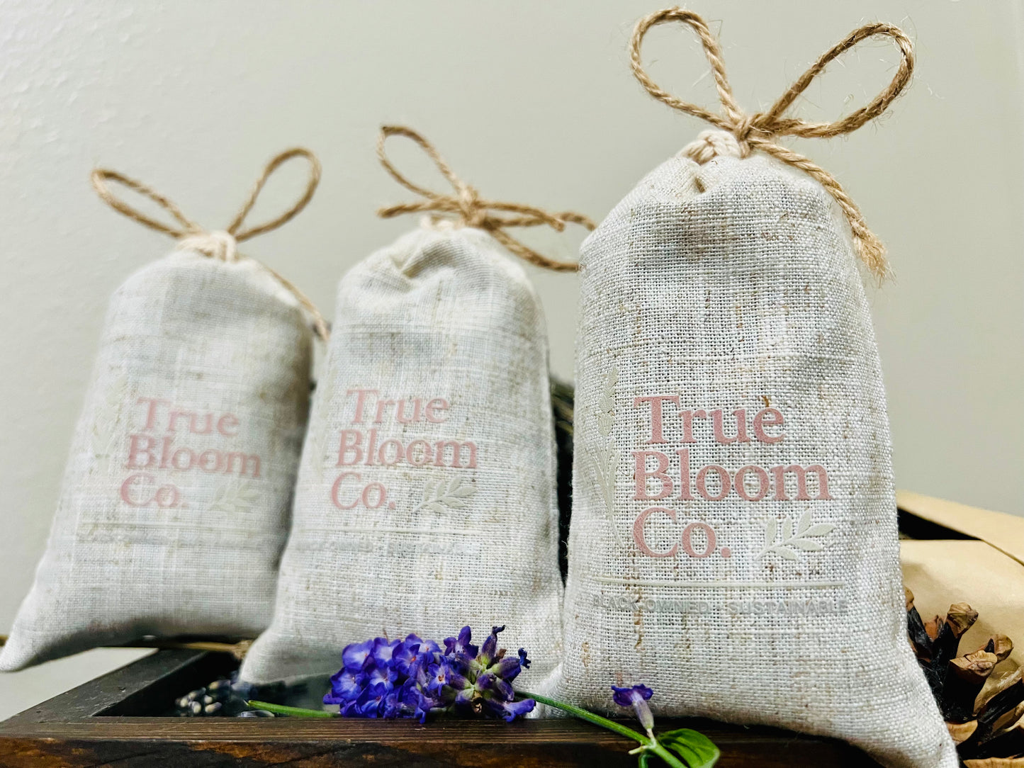 Signature Bundle: Any 3 Signature Sachets