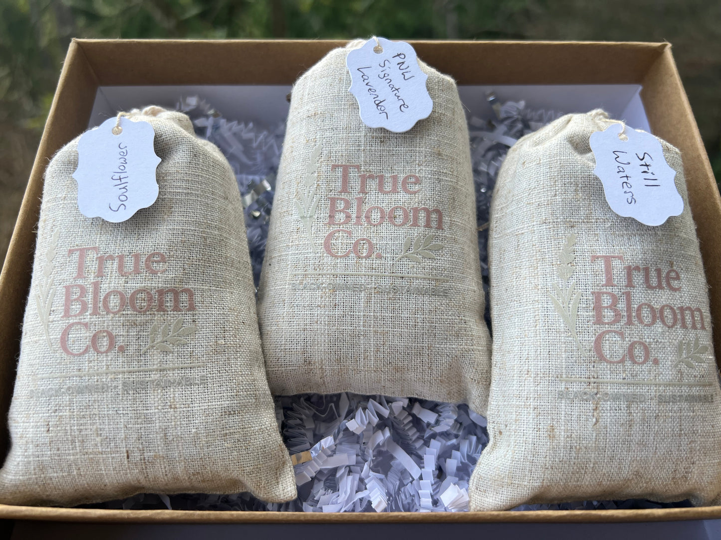 Signature Trio — Choose Any 3